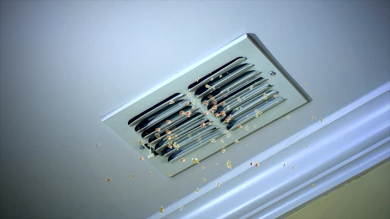 Best Ventilation Cleaning Services  in Forest, MS